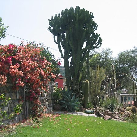 Ca Dei Conti Villa San Bartolomeo al Mare Szoba fotó