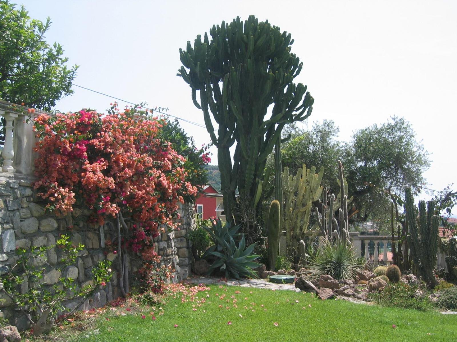 Ca Dei Conti Villa San Bartolomeo al Mare Szoba fotó